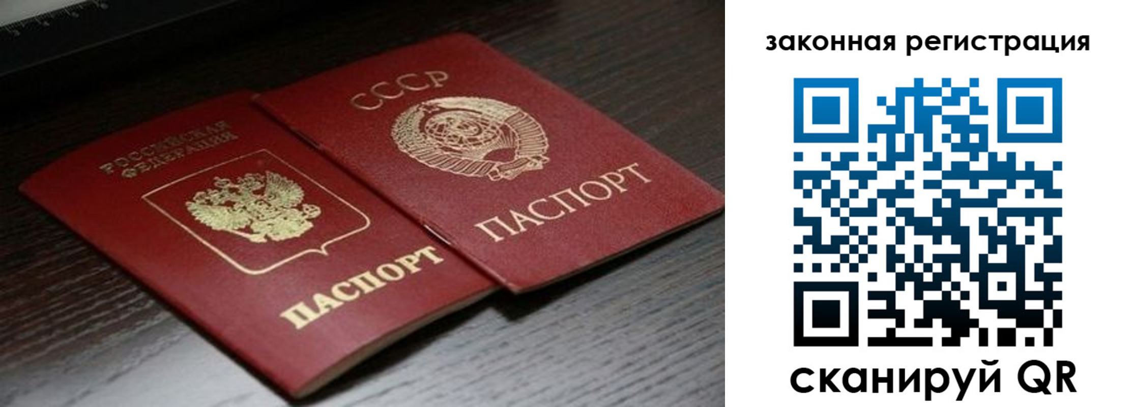 прописка поиск в Ясногорске